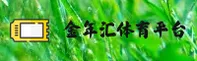 使用指南与常见问题