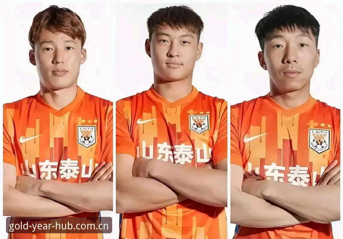 中国足协第三批禁足名单解读：完整指南与赛事环境分析